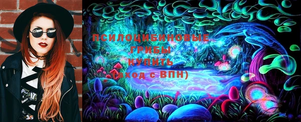 гашиш Богородицк