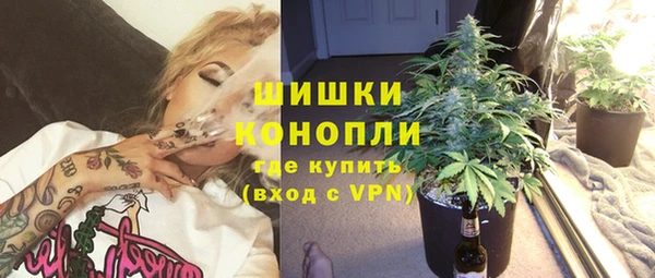 тгк Богданович